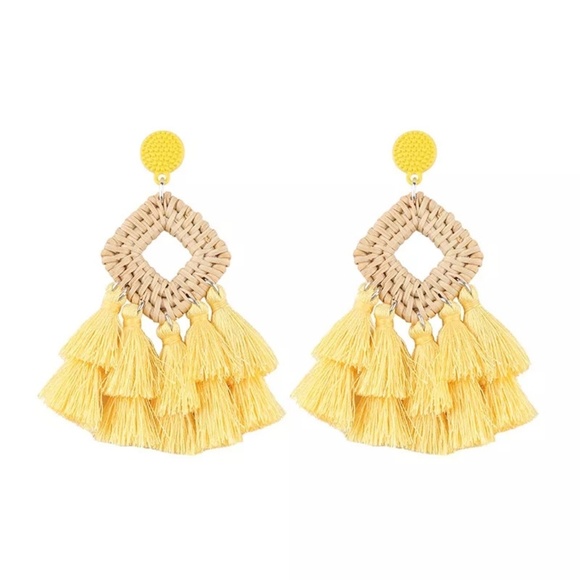 New Wooden Rattan Geometric Tassel Earrings - Picture 6 of 8